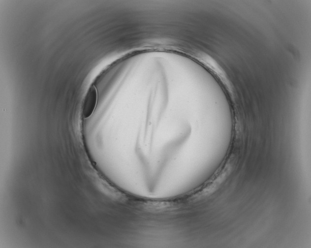 X0000114191336200911061355