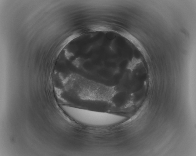X0000114191337200911061355