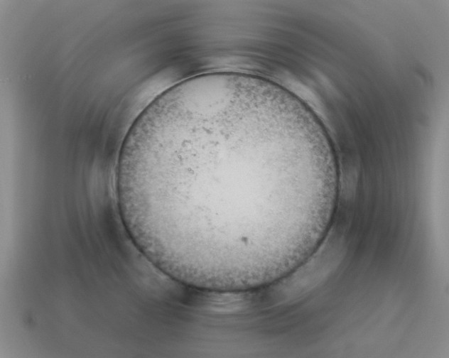 X0000114191338200911061355