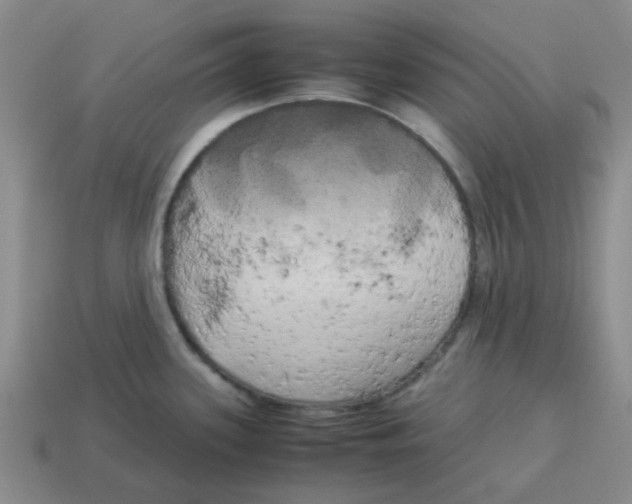X0000114191339200911061355