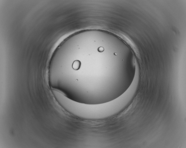 X0000114191340200911061355