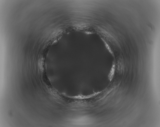 X0000114191346200911061354