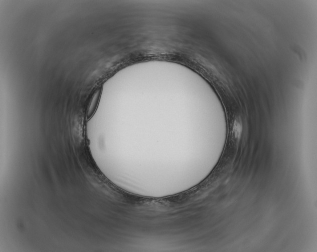 X0000114191348200911061354
