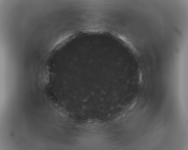 X0000114191350200911061354