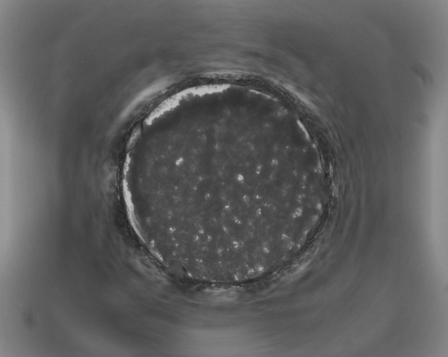 X0000114191351200911061354