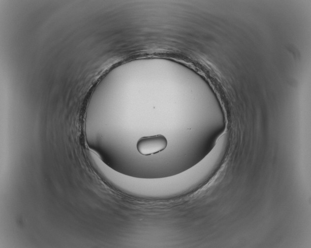 X0000114191353200911061354