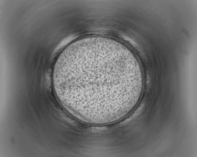 X0000114191354200911061354