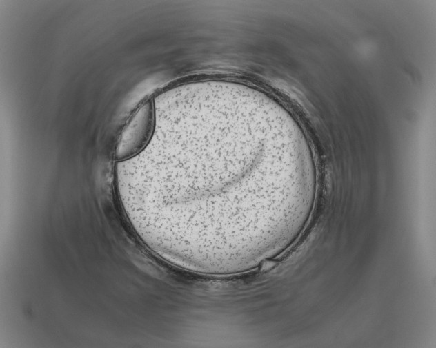 X0000114191355200911061354