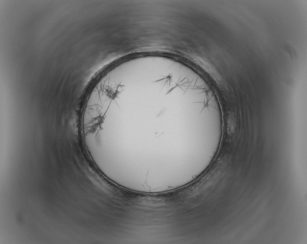 X0000114191356200911061354