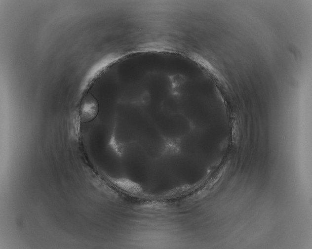 X0000114191358200911061354