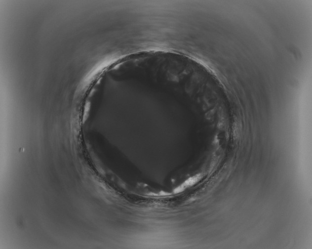 X0000114191359200911061354