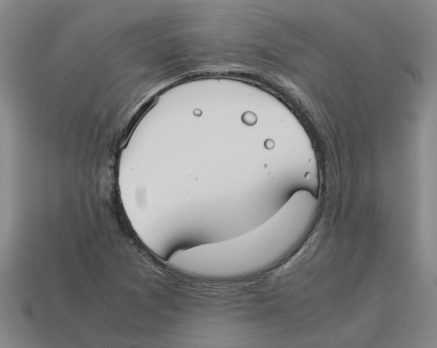X0000114191361200911061354