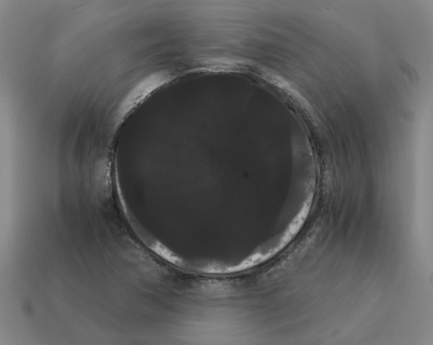 X0000114191362200911061354