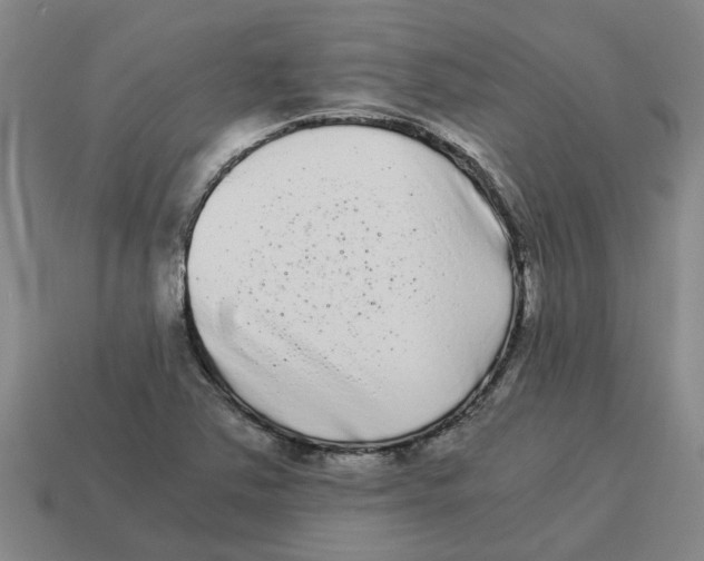 X0000114191363200911061354