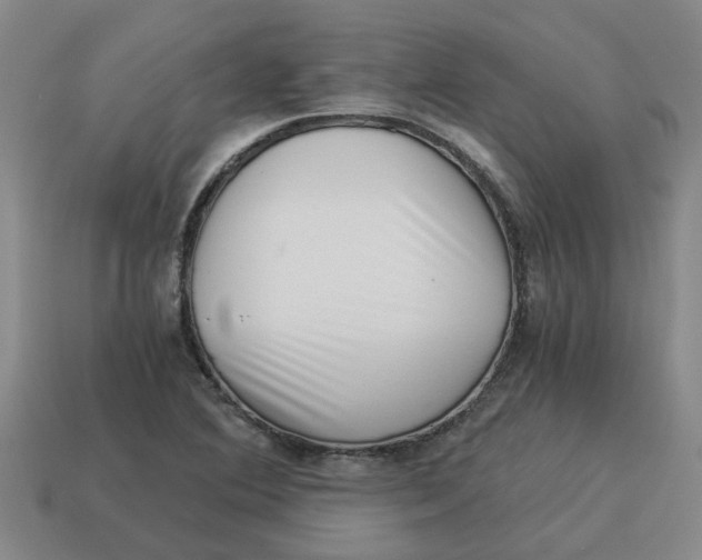 X0000114191364200911061354