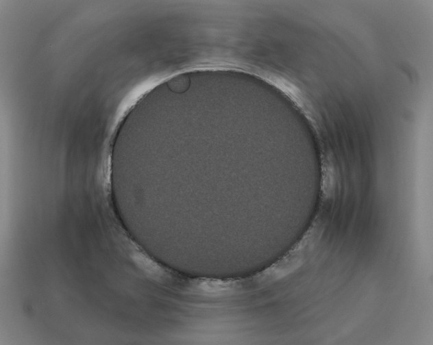 X0000114191366200911061354