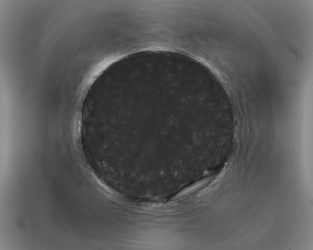 X0000114191367200911061354