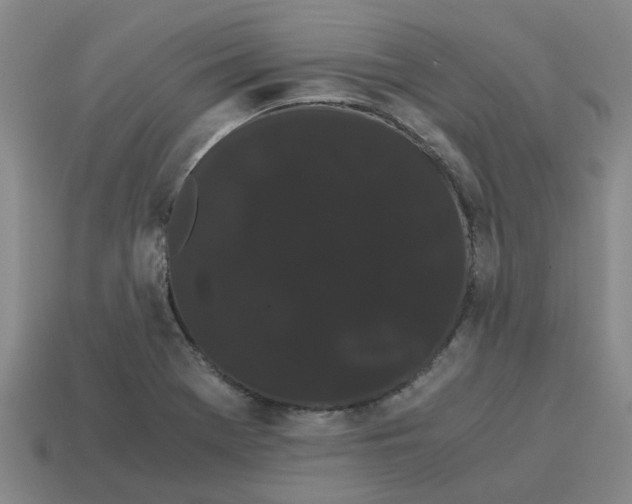 X0000114191369200911061354