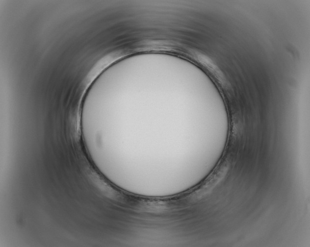 X0000114191370200911061354