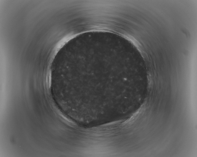 X0000114191371200911061354