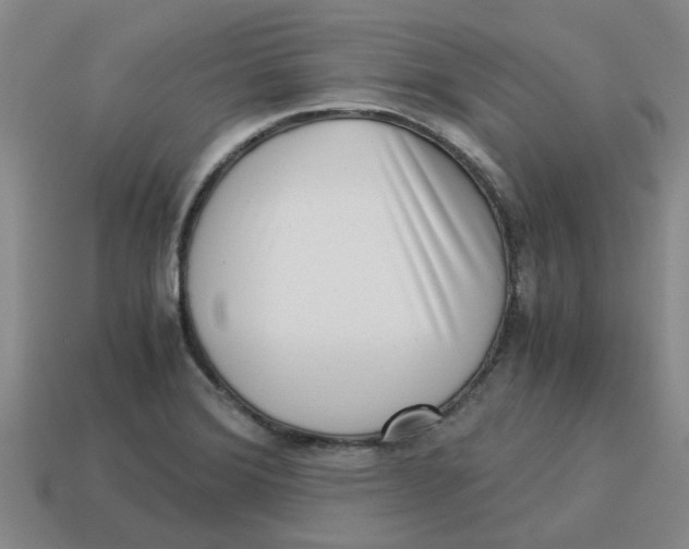 X0000114191372200911061354