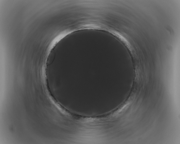 X0000114191373200911061354