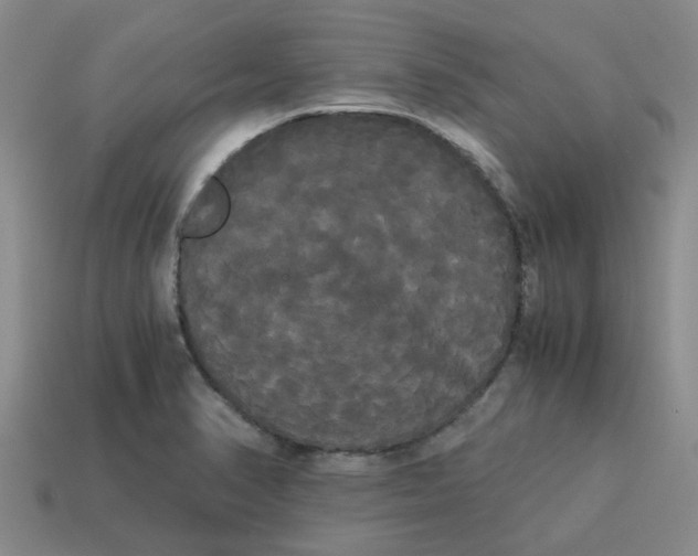 X0000114191374200911061354