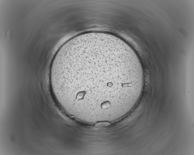 X0000114191375200911061354
