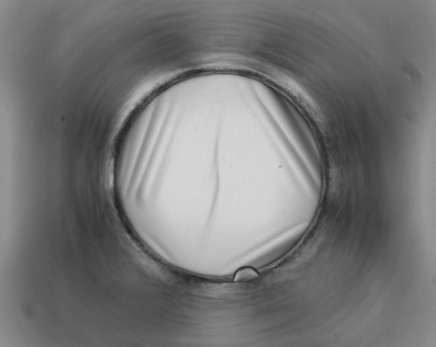 X0000114191376200911061354