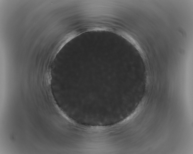 X0000114191377200911061354