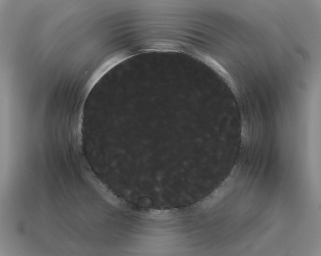 X0000114191378200911061354
