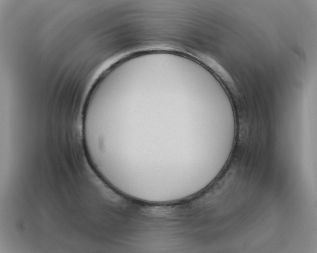 X0000114191380200911061354