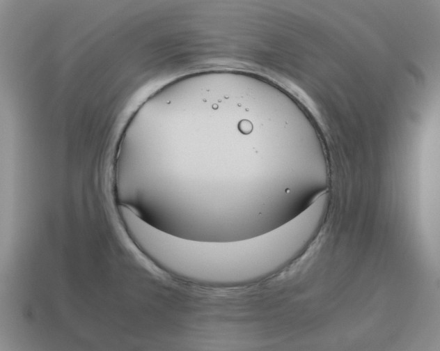 X0000114191381200911061354