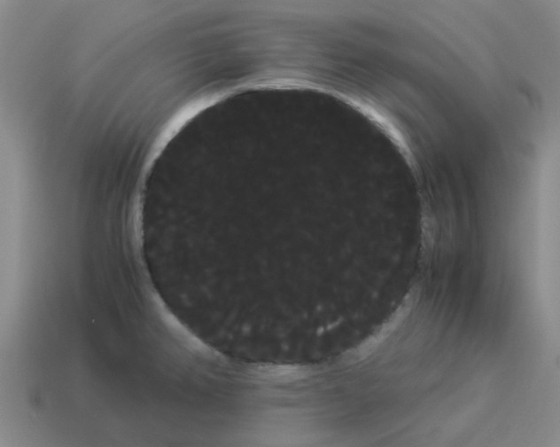 X0000114191382200911061354