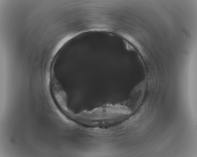 X0000114191383200911061354