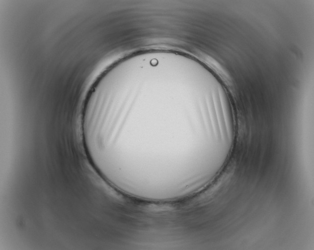 X0000114191384200911061354