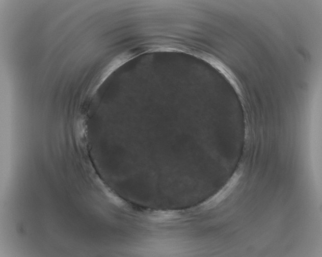 X0000114191385200911061354