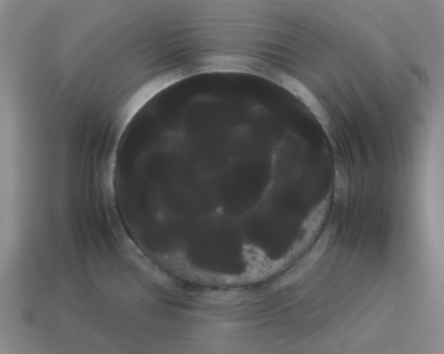 X0000114191386200911061354