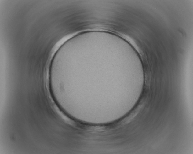 X0000114191387200911061354