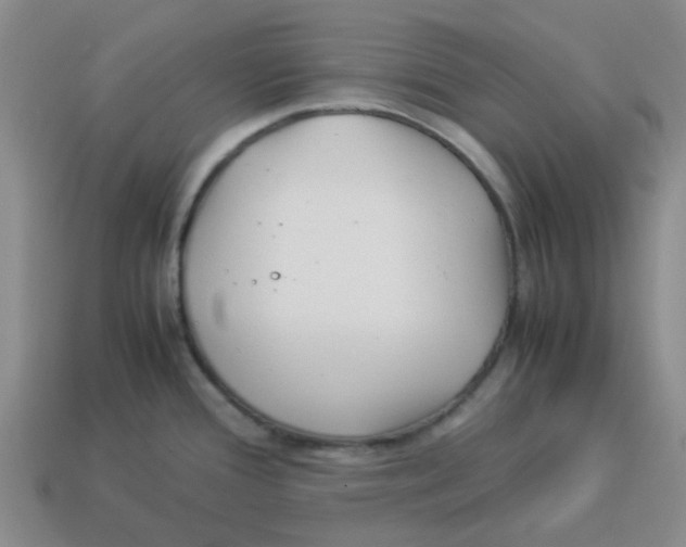 X0000114191388200911061354