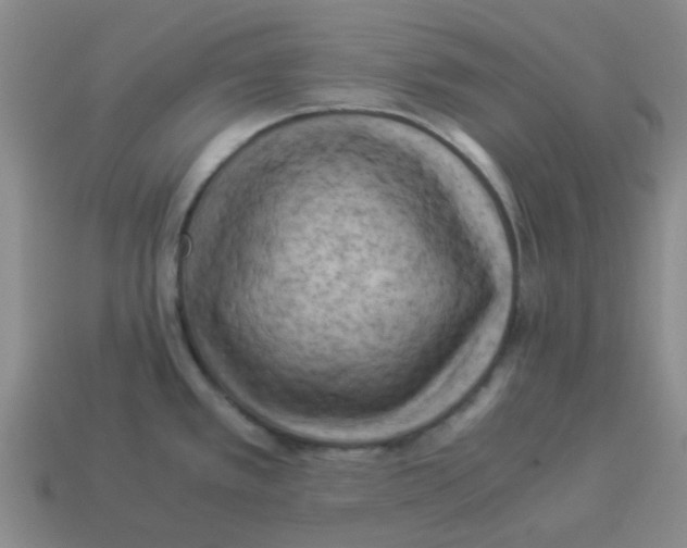 X0000114191389200911061354
