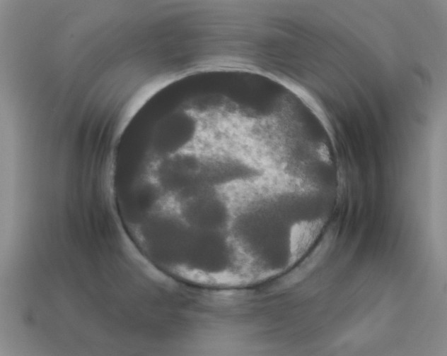 X0000114191390200911061354