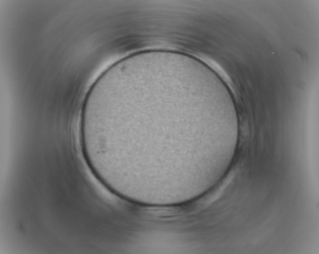 X0000114191391200911061354