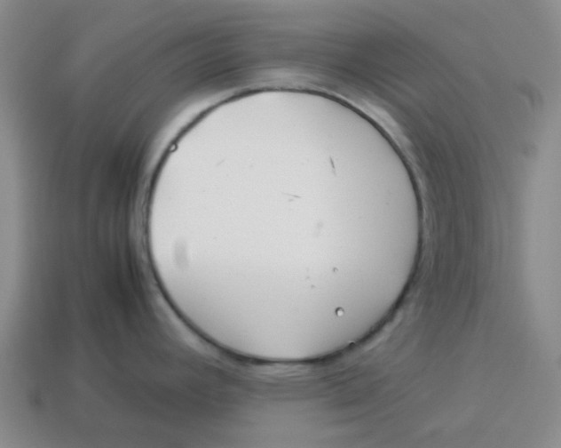 X0000114191392200911061354