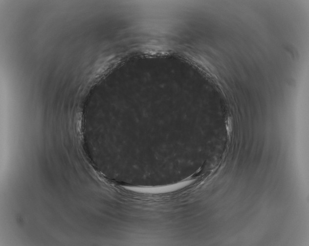 X0000114191396200911061353