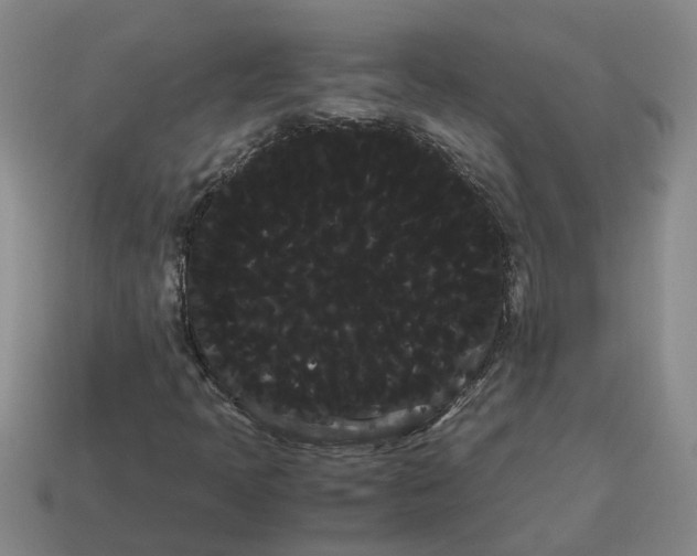X0000114191397200911061353