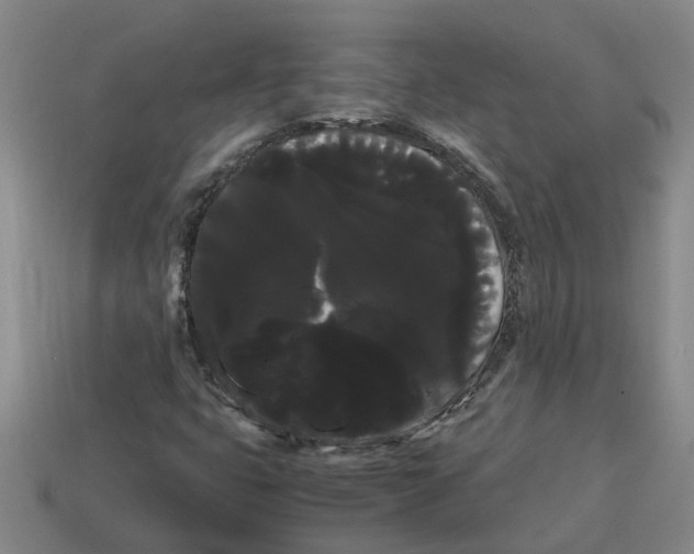 X0000114191399200911061353