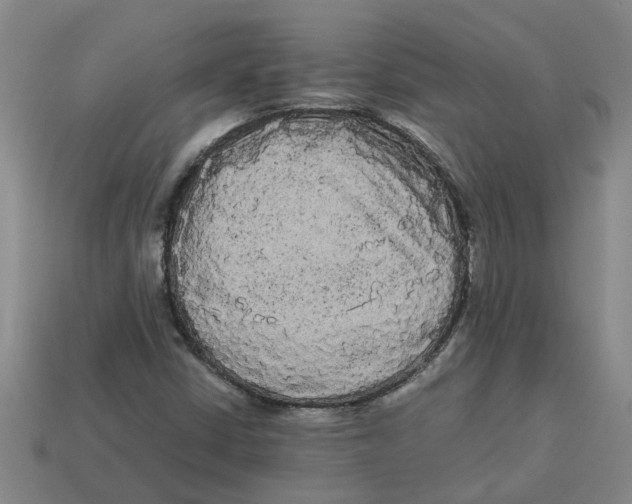 X0000114191402200911061353