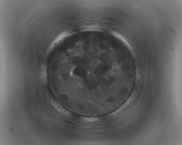 X0000114191403200911061353