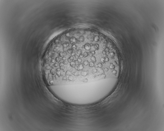 X0000114191404200911061353